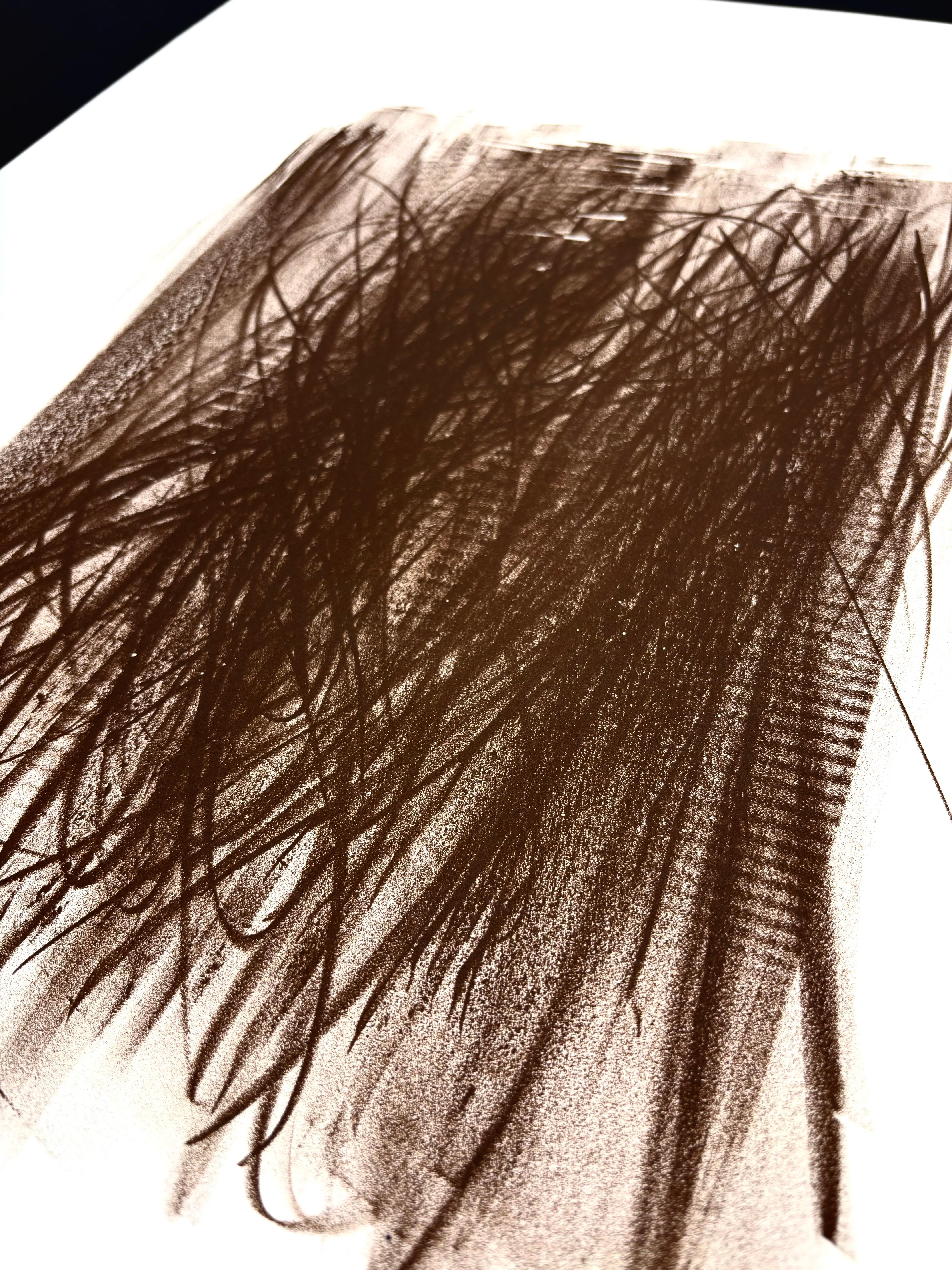 Hans Hartung ( 1904 - 1989) - L 92 - Lithographie sur papier BFK Rives - 1963 en vente 2