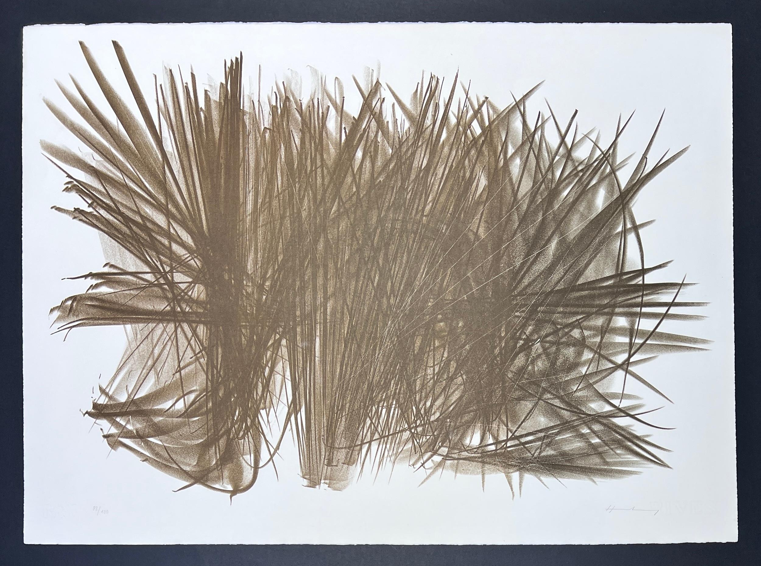 Hans Hartung (1904-1989) - Lithograph on BFK Rives paper - 1963 For Sale 1