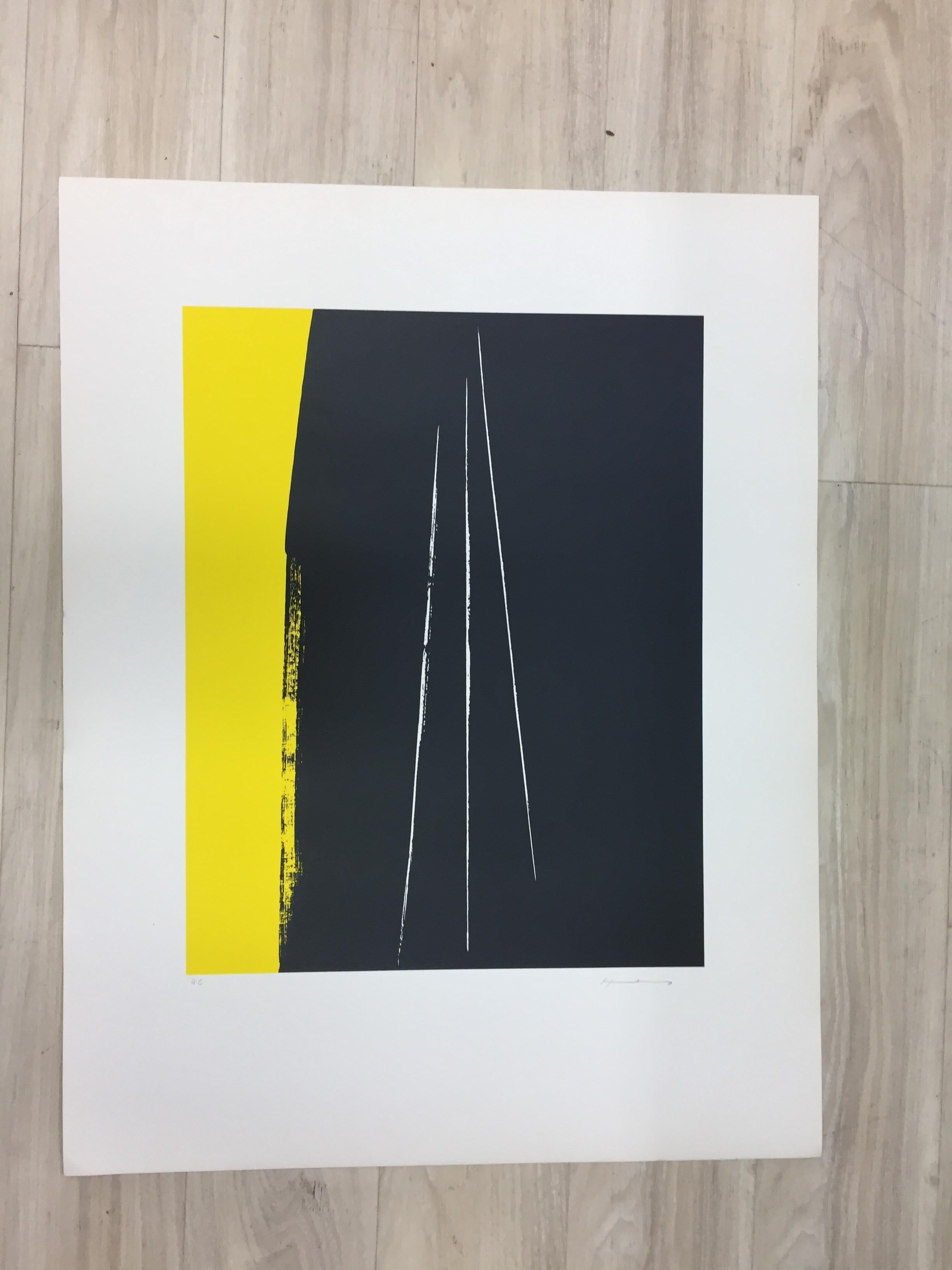  HARTUNG - litografia astratta originale - pittura firmata in edizione limitata
Hans Hartung viene comunemente presentato come un portabandiera dell'