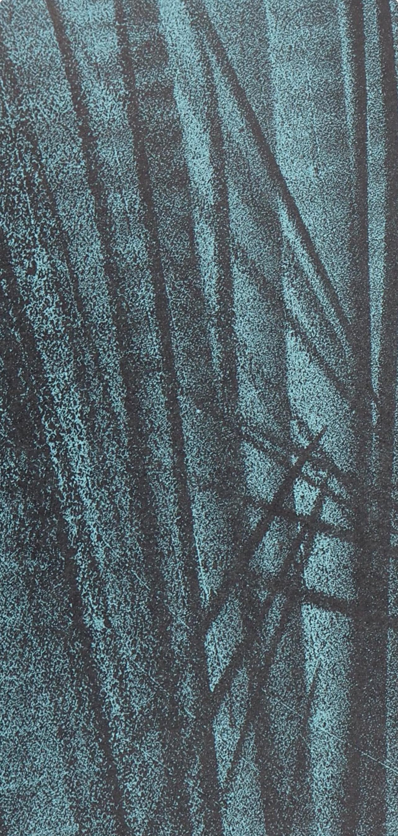 Litografia su carta vélin. Non firmato e non numerato, come da edizione. Buone condizioni. Note: Dal volume, XXe Siècle, vol. n°64, 1964. Pubblicato e stampato sotto la direzione di Gualtieri di San Lazzaro, éditeur, Parigi, dalla Société