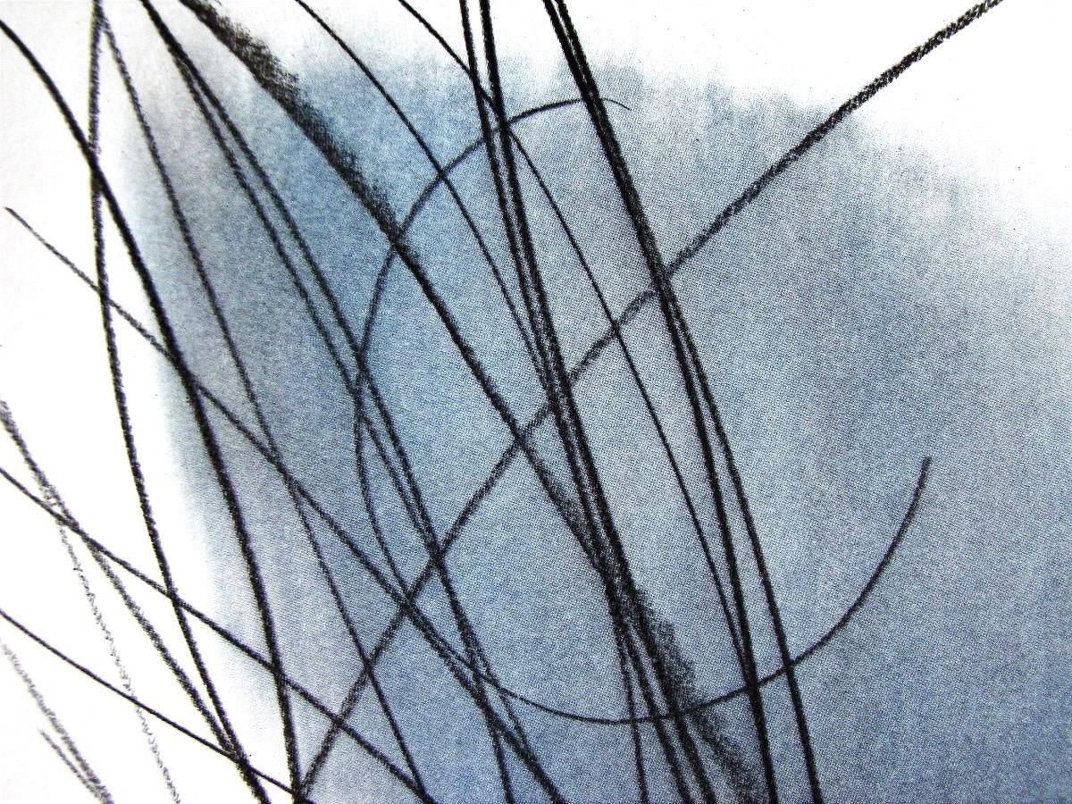 Hartung, P. 1957-81, Hans Hartung, Peintres d'aujourd'hui (after) For Sale 2