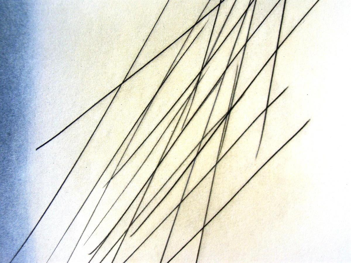Hartung, P. 1957-81, Hans Hartung, Peintres d'aujourd'hui (after) For Sale 3
