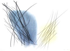 Hartung, P. 1957-81, Hans Hartung, Peintres d'aujourd'hui (after)