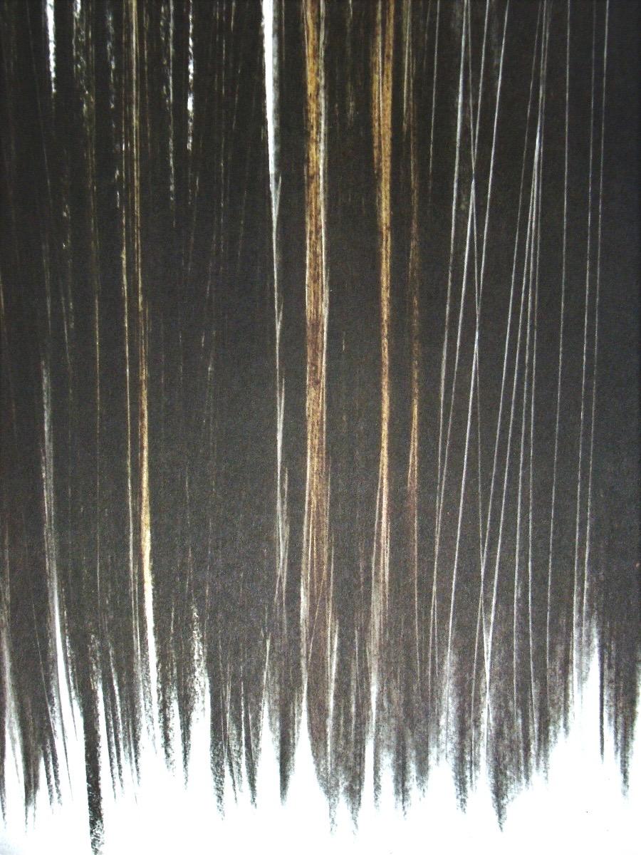 Hartung, P. 1960-76, Hans Hartung, Peintres d'aujourd'hui (after) For Sale 1