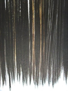 Hartung, P. 1960-76, Hans Hartung, Peintres d'aujourd'hui (d'après)