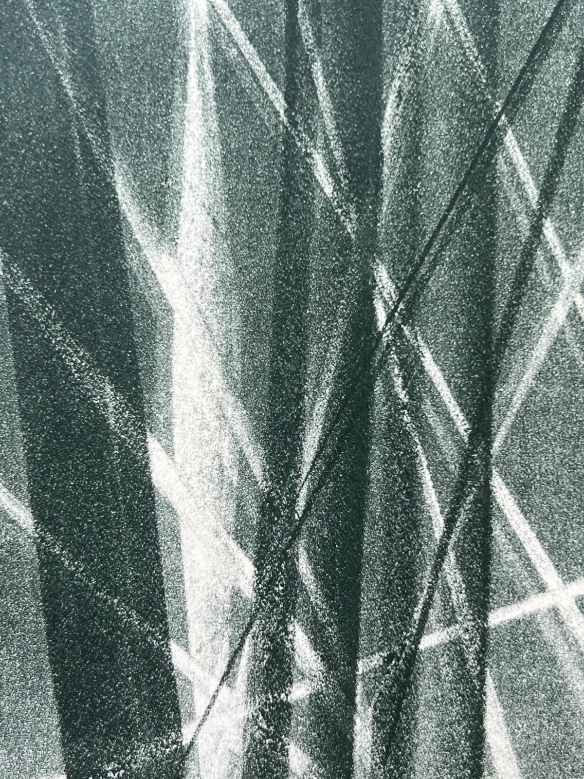 Homage to Hans Arp - Abstract Print by Hans Hartung