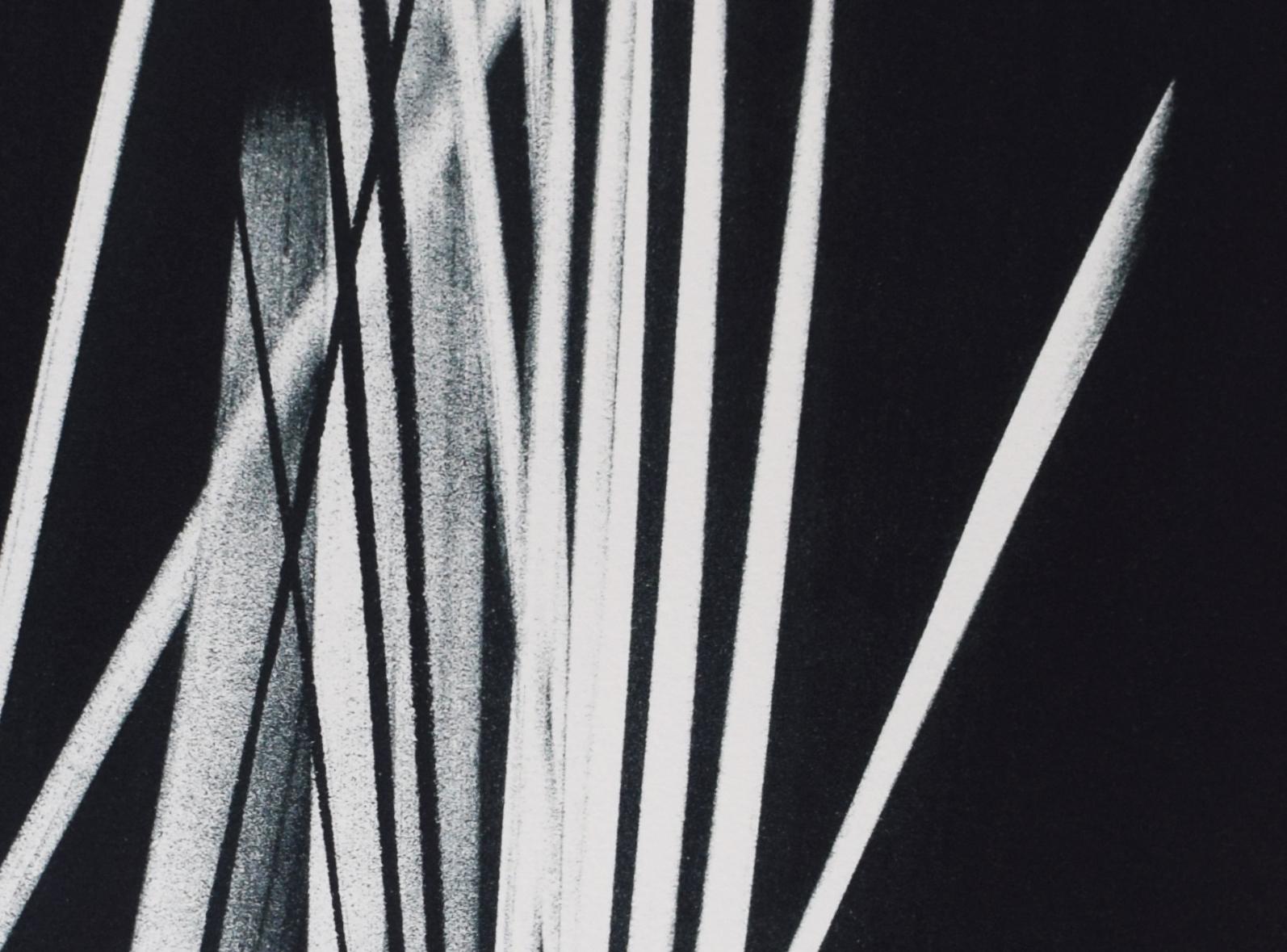 Senza titolo da: La pelle delle cose - Astrazione lirica Monochrome tedesco-francese - Abstract Print Nero di Hans Hartung