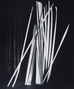 Senza titolo da: La pelle delle cose - Astrazione lirica Monochrome tedesco-francese