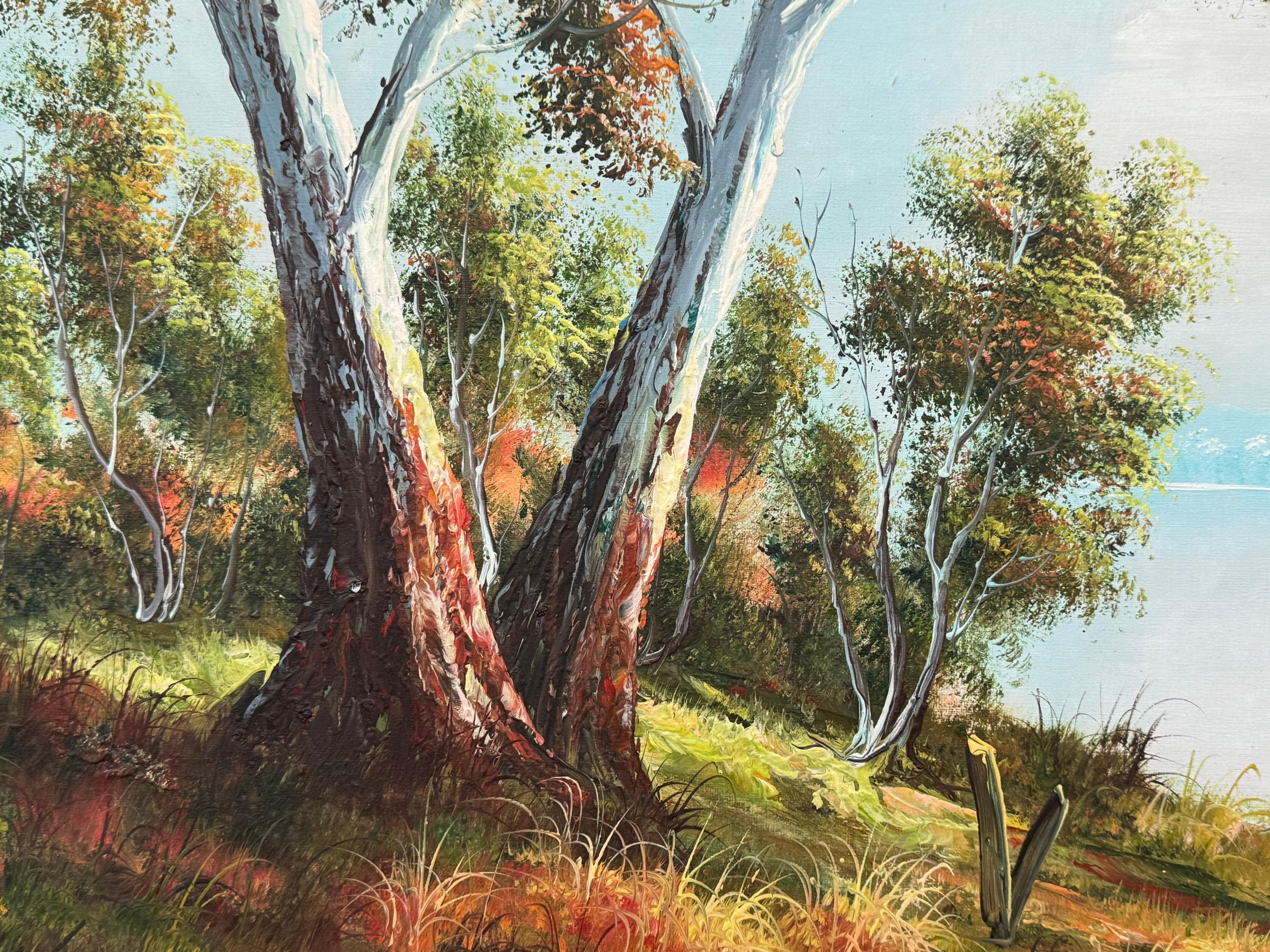 Tranquillo paesaggio australiano con alberi di eucalipto - Vintage 20th Century Art in vendita 5