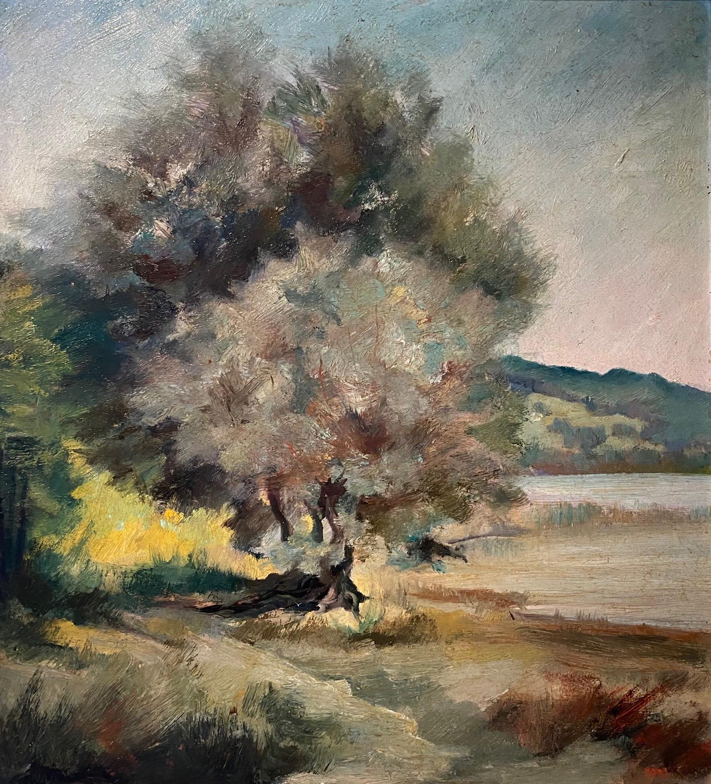„Baum am See“ von Hans Hotz – Öl auf Karton 35x39 cm im Angebot 1