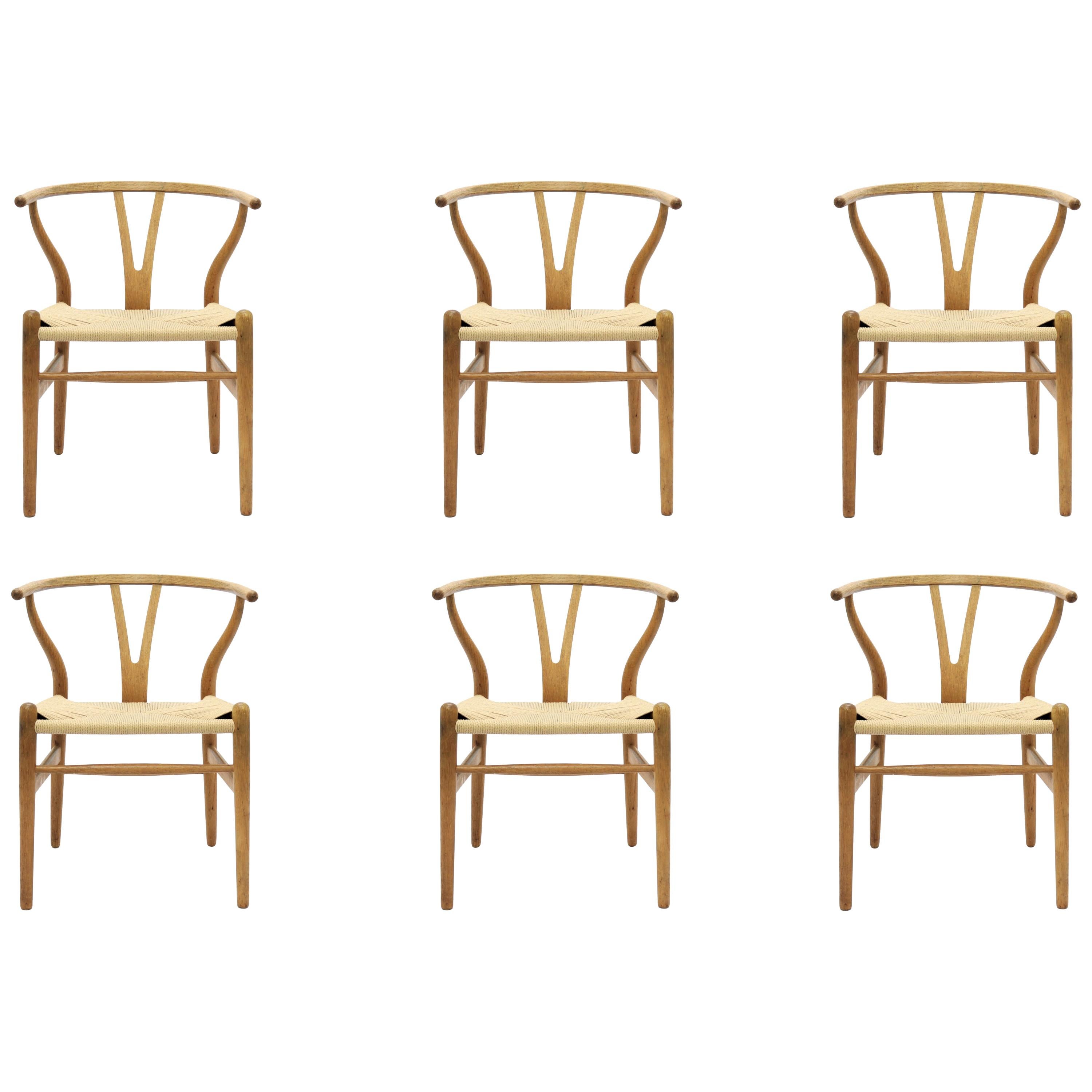 Hans J. Wegner CH24 Oak Wishbone Dining Chairs, Set of 6 at 1stDibs