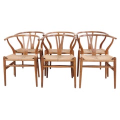 Sillas de comedor CH24 de roble de Hans J. Wegner, con asientos trenzados, de Carl Hansen & Søn