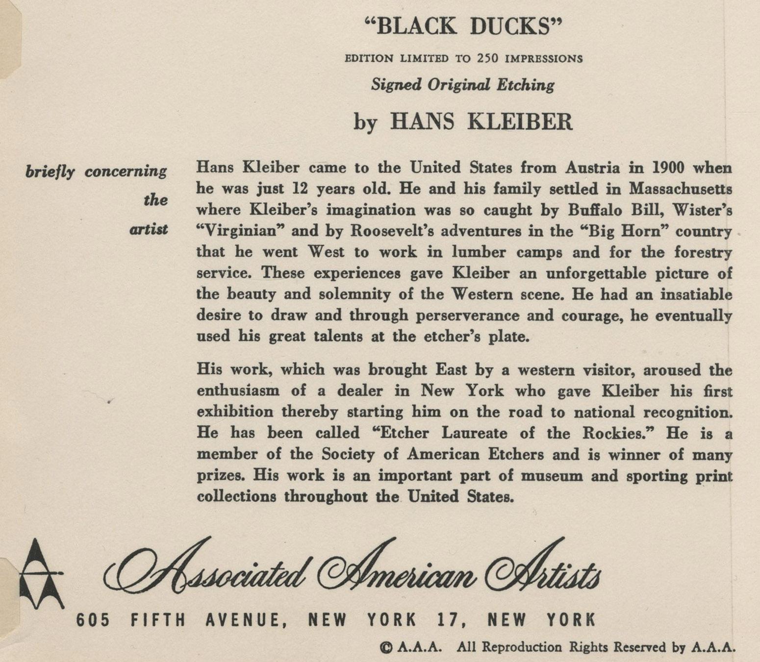 Black Ducks (Marsh Ducks) For Sale 1