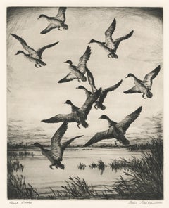 Vintage Black Ducks (Marsh Ducks)