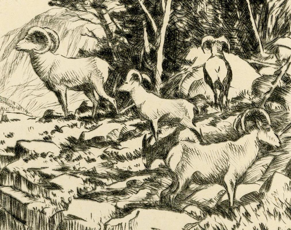 En los Bighorns (Wyoming) - Print de Hans Kleiber