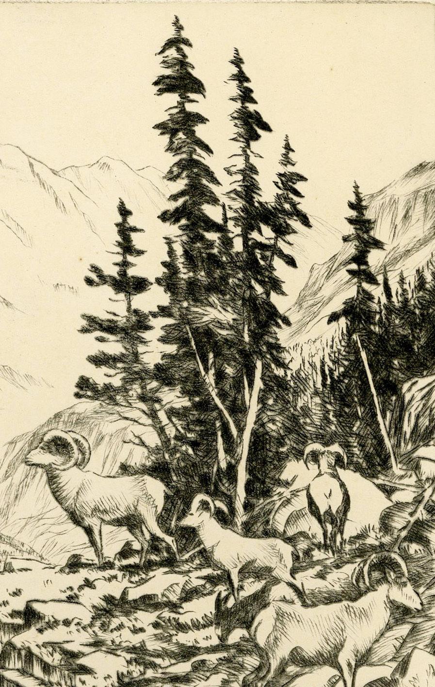 En los Bighorns (Wyoming) - Animal Print Beige de Hans Kleiber