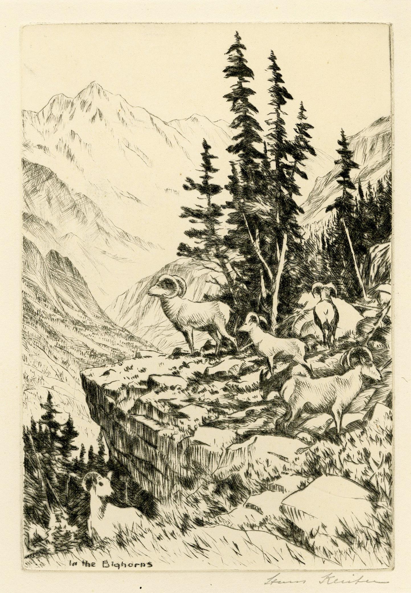 Animal Print de Hans Kleiber - En los Bighorns (Wyoming)