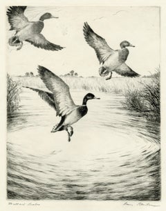 Vintage Mallard Drakes (Louisiana Honkers)