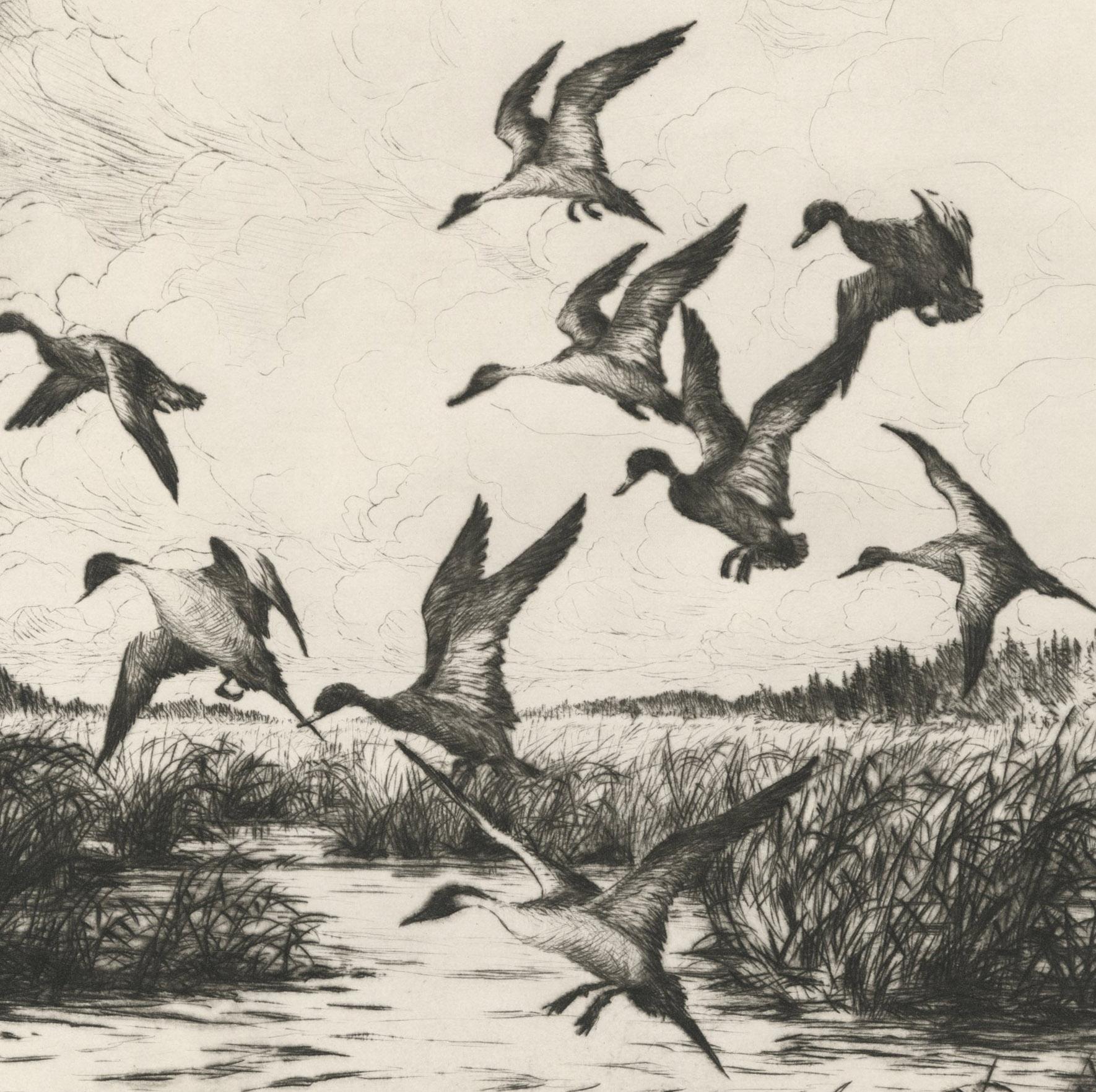 Pintails and Mallards - Print by Hans Kleiber