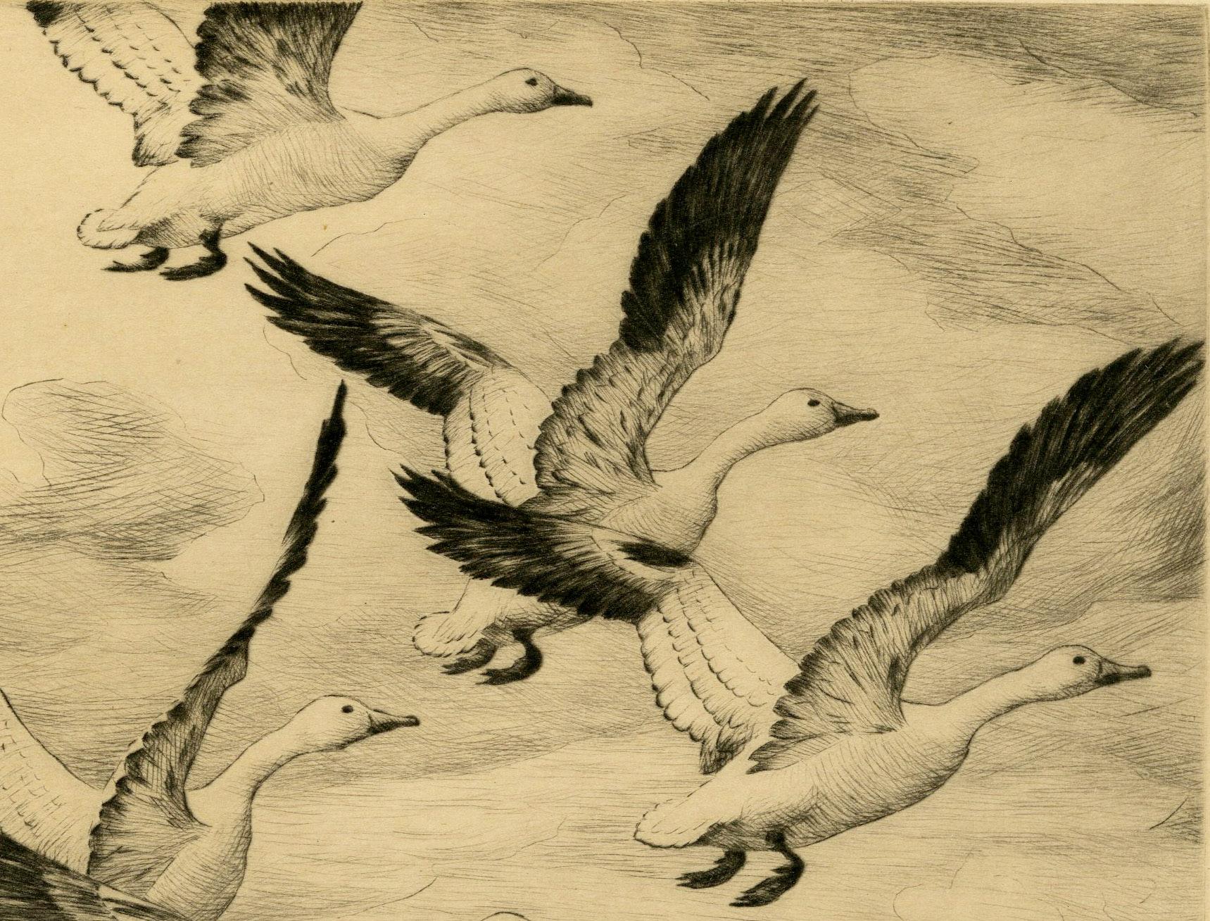 Oche delle nevi (Wyoming) - Print di Hans Kleiber