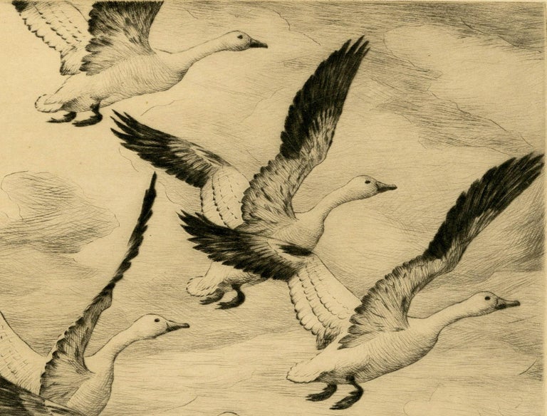 Hans Kleiber Snow Geese (Wyoming) For Sale at 1stDibs