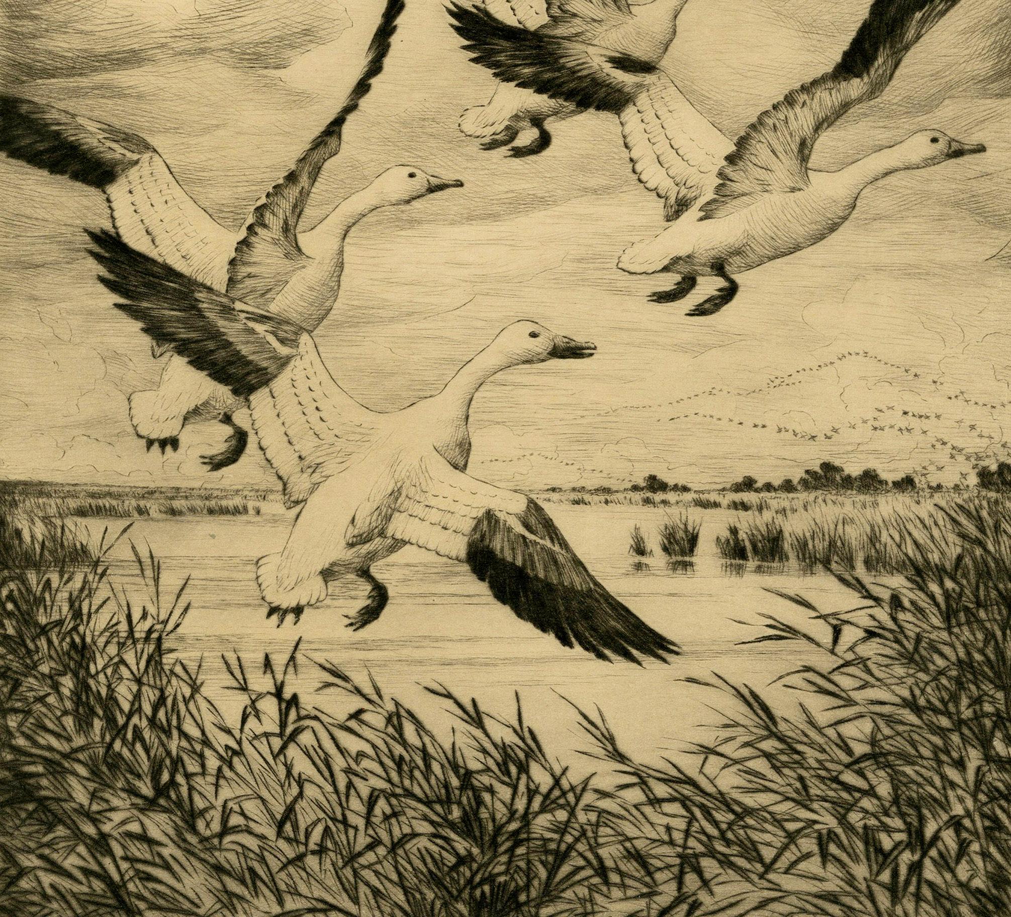 Oche delle nevi (Wyoming) - Print Realismo americano di Hans Kleiber