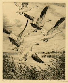 Vintage Snow Geese (Wyoming)