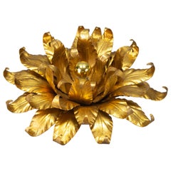 Applique ou éclairage mural en forme de fleur en métal doré de Hans Kgl Design, 1970