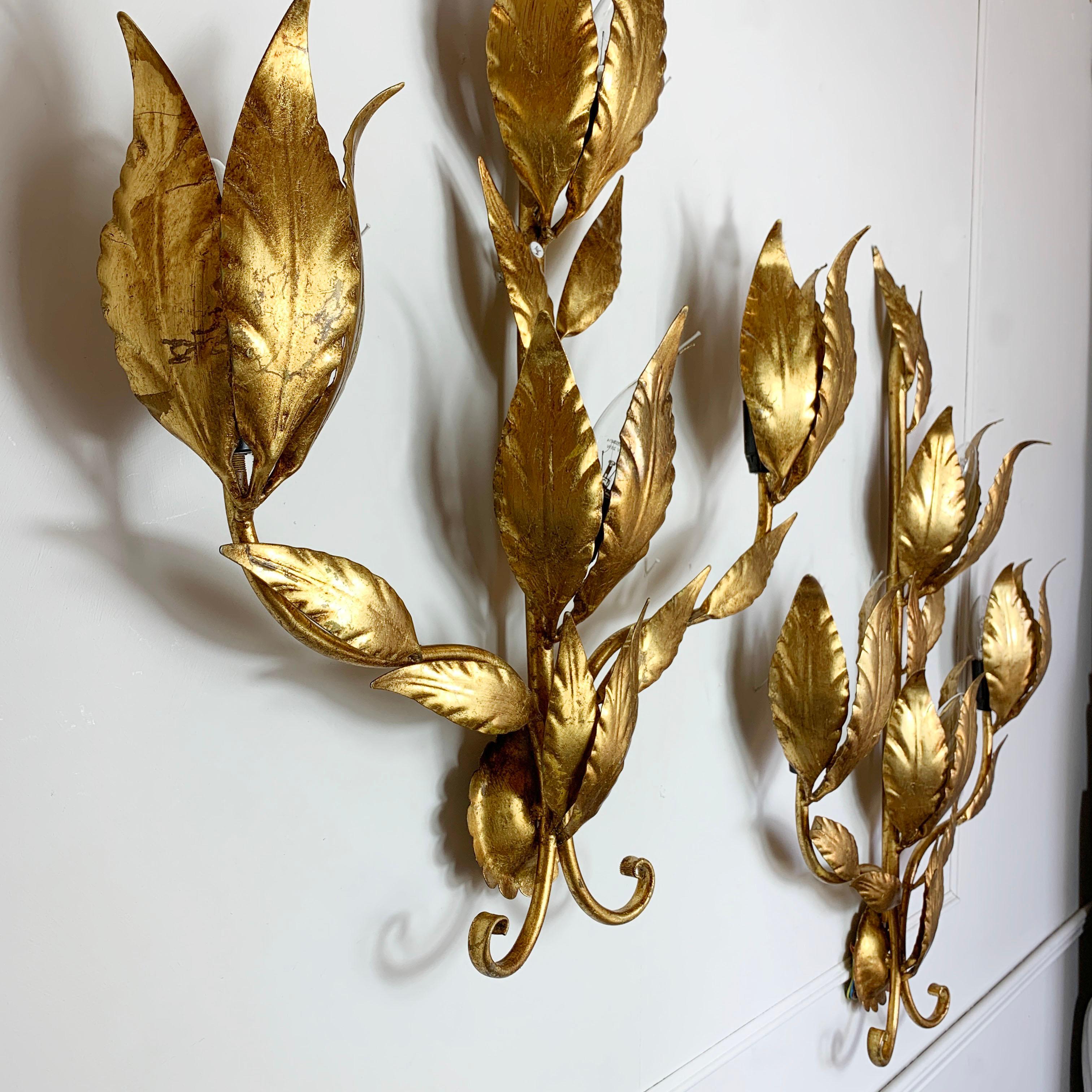 Hans Kogl Gold Leaf Wall Sconces 1970's siglo XIX en venta
