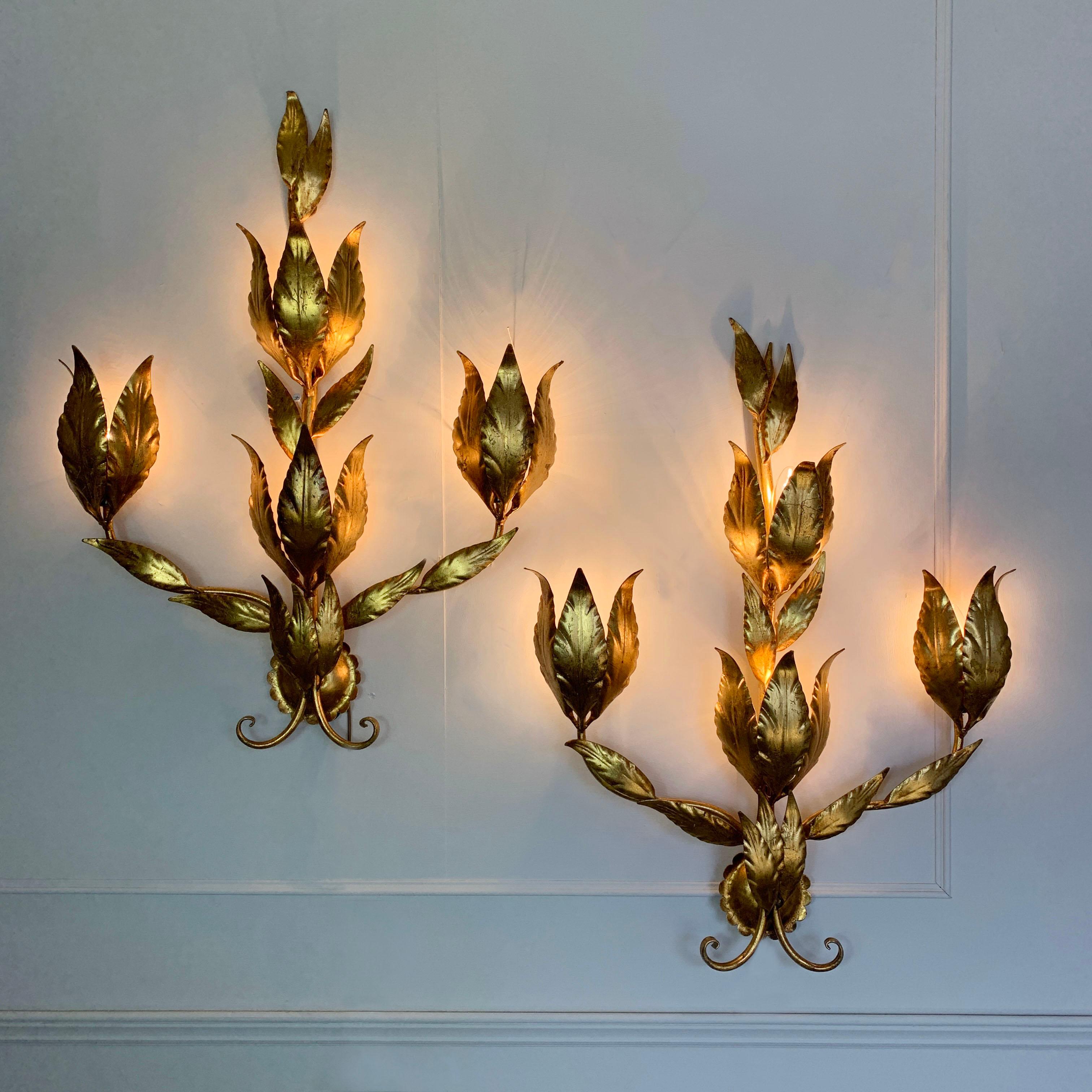 Hans Kogl leaf wall sconce's 1970’s, Germany.
These large and beautiful leaf sconce's are a real statement piece 

There are 3 handcrafted curved gilt stems decorated fully with gilt leaves 144cm width, 83cm height, 18cm depth 

Each light has 4