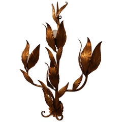 Hans Kogl Organic Design Sconce in Gilt Metal