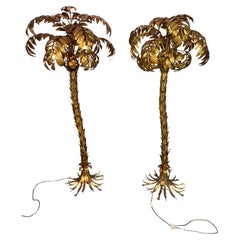 Floor Lamps