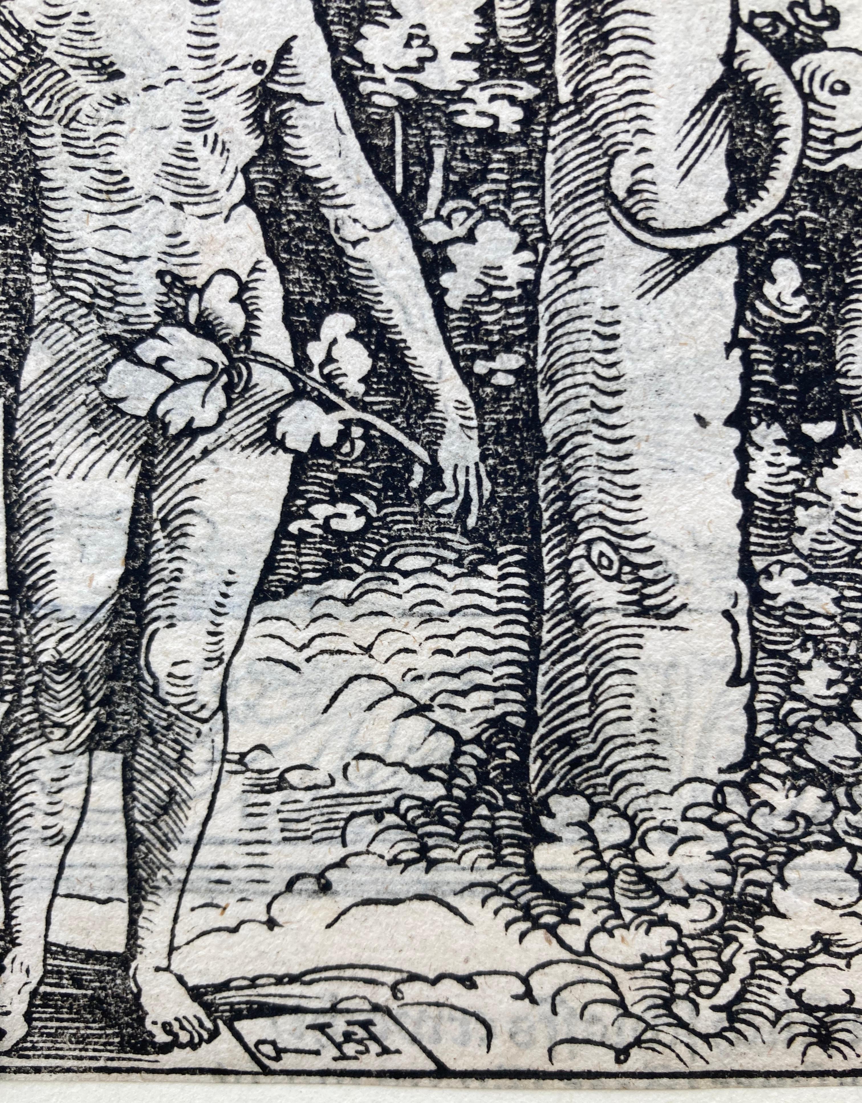 black adam and eve images