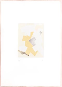 Beige Composition - Original Etching and Aquatint by Hans Richter - 1970s