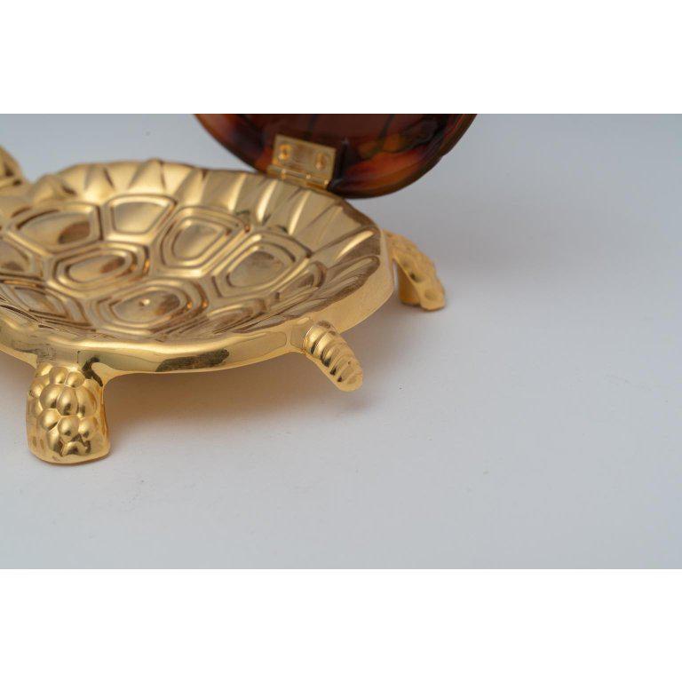 signature turtle