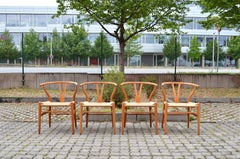 Hans Wegner CH24 Vintage Oak Wishbone Y Chair for Carl Hansen Set of 4