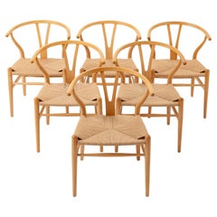 Hans Wegner for Carl Hansen & Son Wishbone Chairs set of 6 in Oak and Papercord