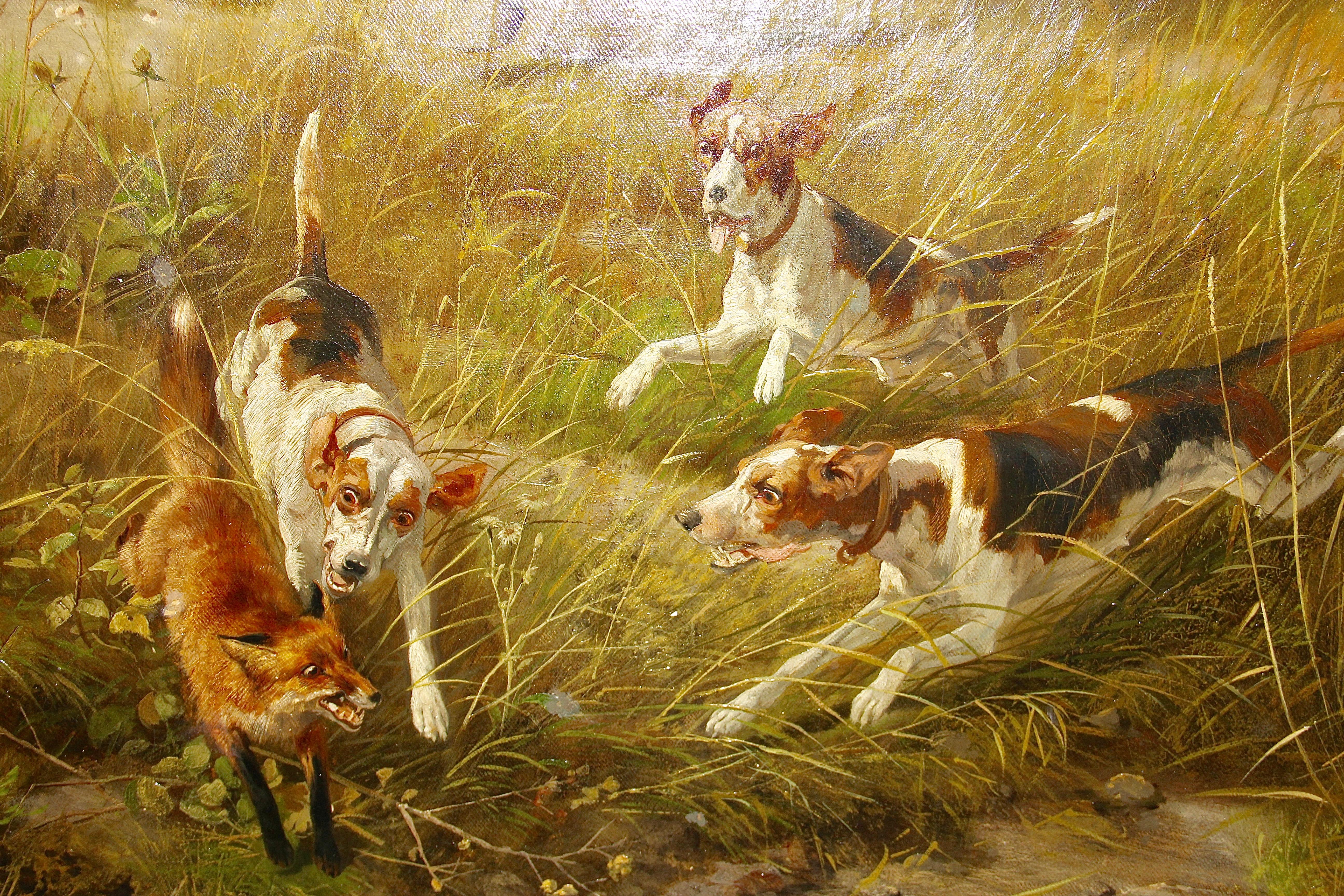 Fox in trouble - Landscape, Oil, Animal, Painting. Hunting scene. 19th century. 1