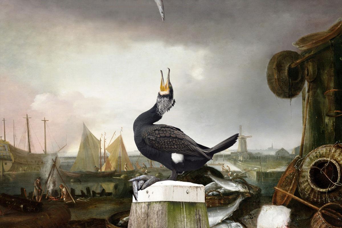 Cormoran du port de Hoorn par Hans Withoos