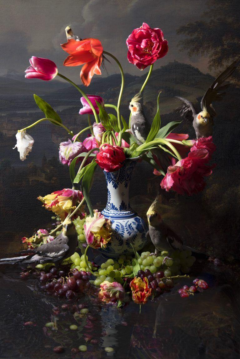 Hans Withoos Still-Life Photograph - Crested Bird (Floral Photography)