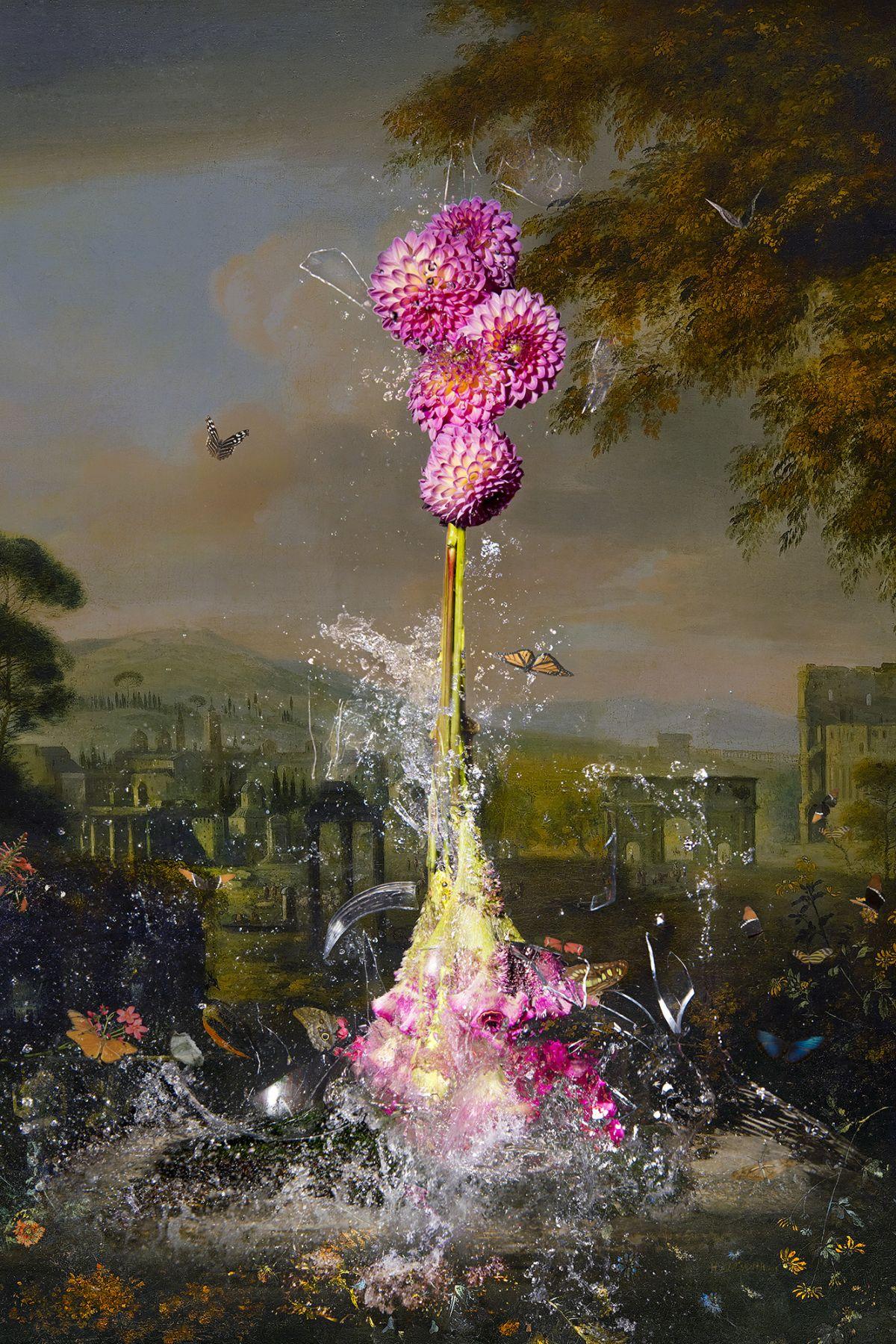 Still-Life Photograph de Hans Withoos - Crecimiento explosivo (Fotografía floral, Flor)