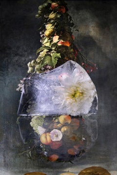 Fleur gelée par Hans Withoos