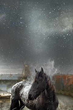 Horse in winter by Hans Withoos
