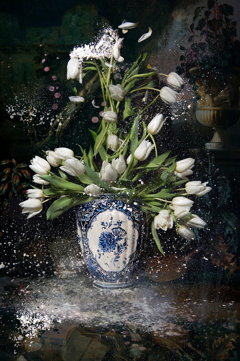 Hans Withoos Color Photograph - Tulips of Hope