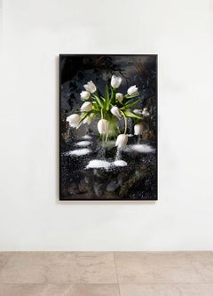 Nieve blanca de Hans Withoos