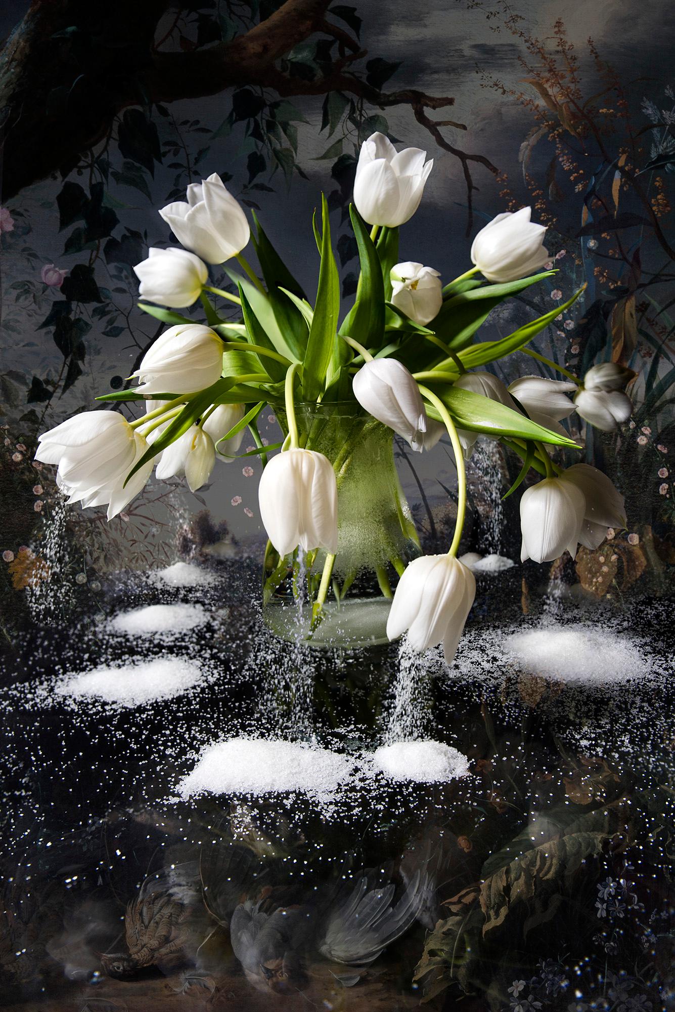 White Snow (Floral Photography)