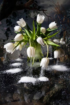 Weißer Schnee (Blumenfotografie)