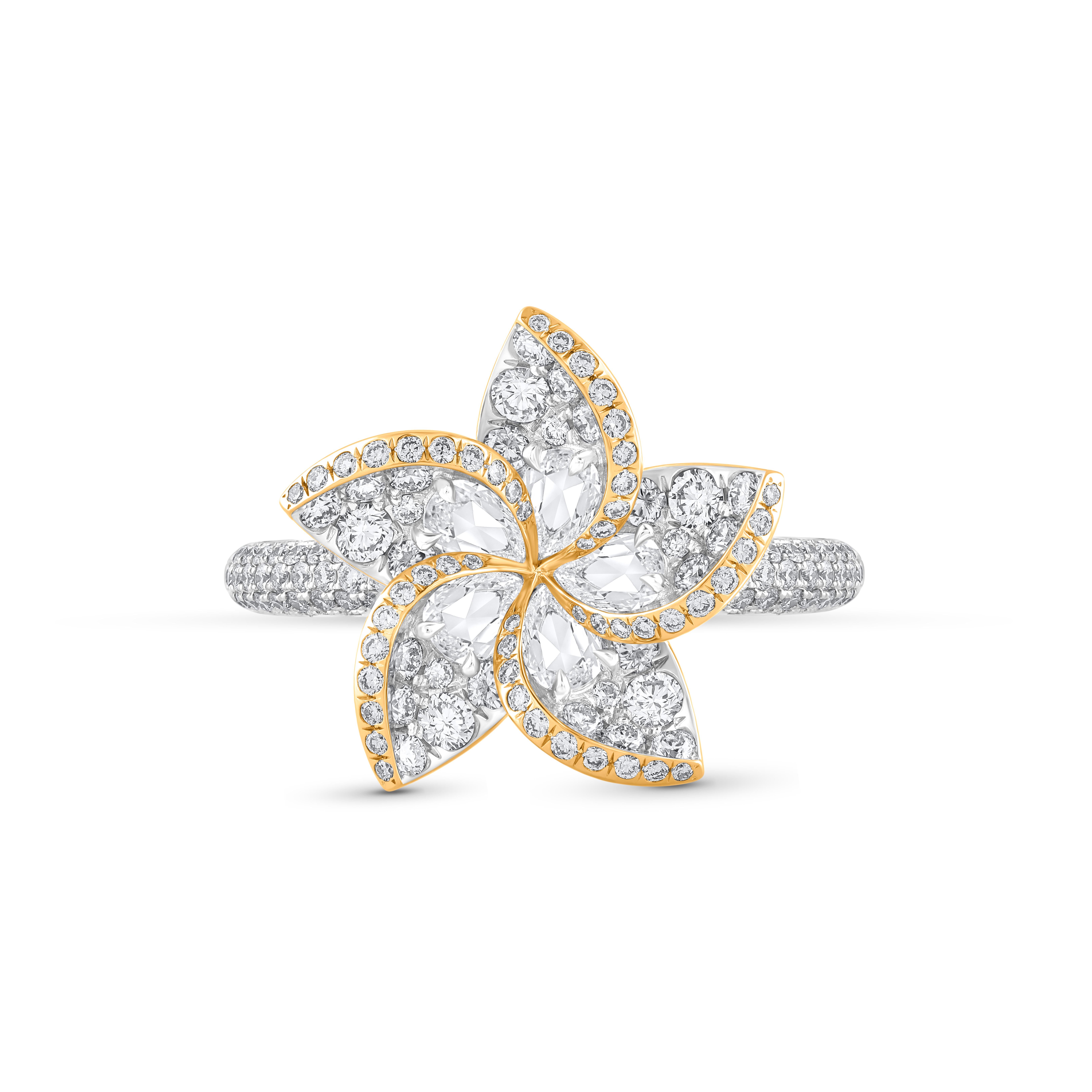 Ispirato al profumato fiore di frangipani che simboleggia l'immortalità, il look di questo anello a doppio fiore è esaltato dal perfetto equilibrio e dalla combinazione di diamanti rosa e a taglio brillante. 

Un brillante gruppo di 226 diamanti