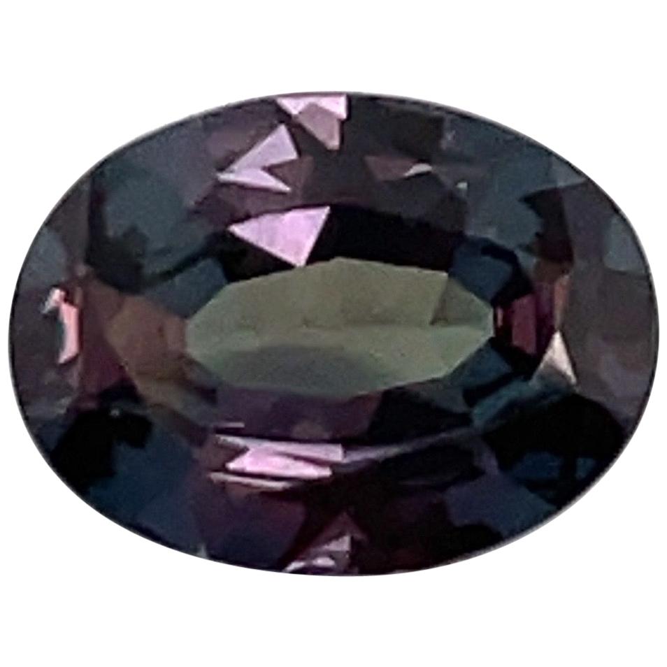 HARBOR D. Oval Shape Alexandrite Loose Stone 1.57 Carat