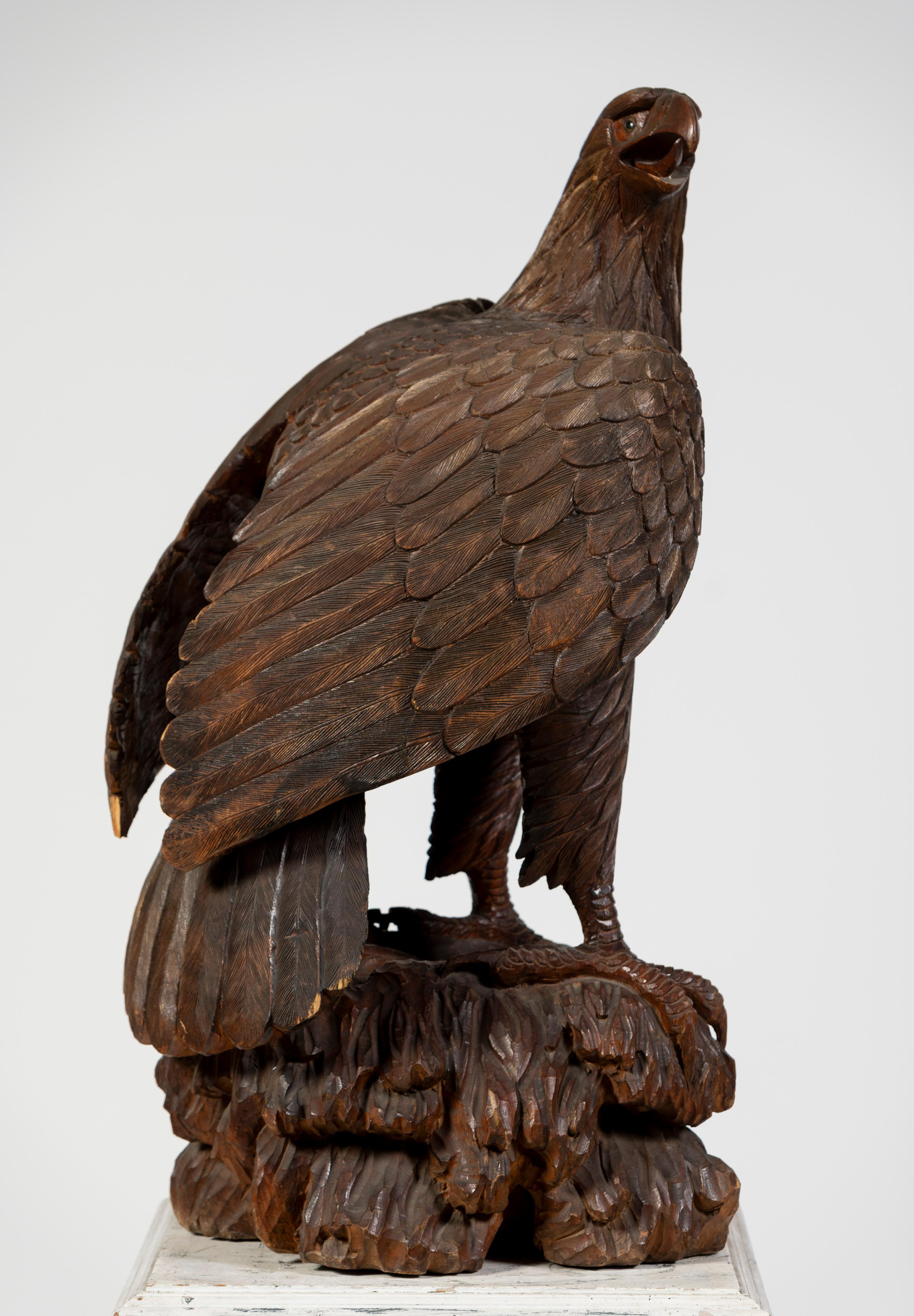 Hardwood Model of Eagle on a Pedestal, 20th Century, UK 6